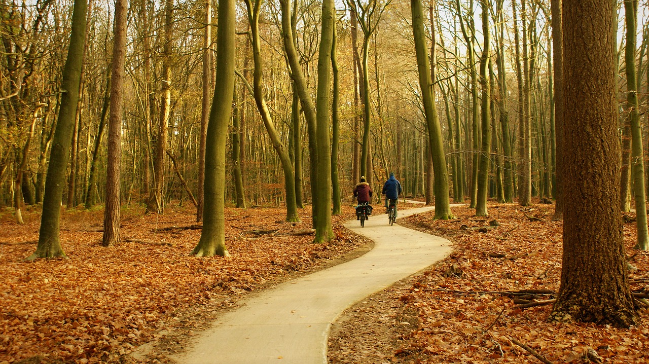 accessible nature visits in the netherlands