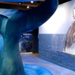 the tale of the whale exhibition