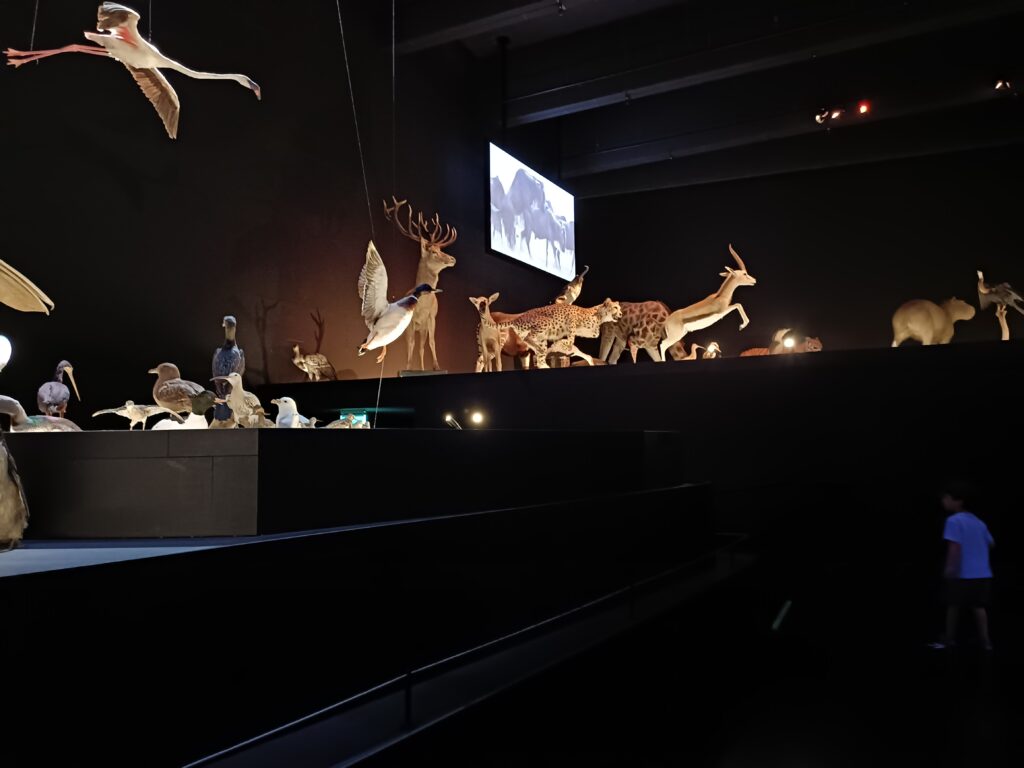 naturalis in leiden accessibility