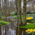 Keukenhof