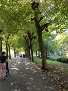 Avifauna in Alphen aan de Rijn accessibility