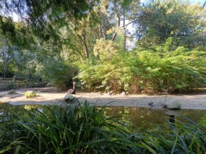 Avifauna in Alphen aan de Rijn accessibility