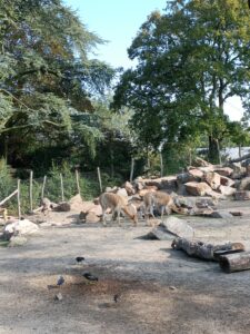 Avifauna in Alphen aan de Rijn accessibility