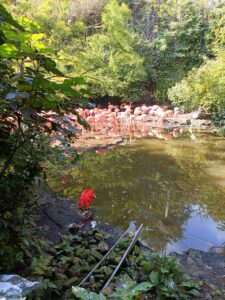 Avifauna in Alphen aan de Rijn accessibility