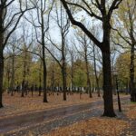 The Hague wheelchair accessible tour