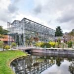 Leiden wheelchair accessible tour