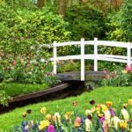 bridge in keukenhof